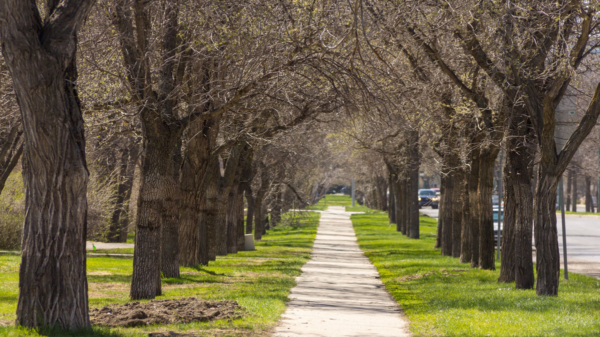 Enjoy a spring retreat in Saskatchewan's capital. Book your getaway at our hotel in Regina.