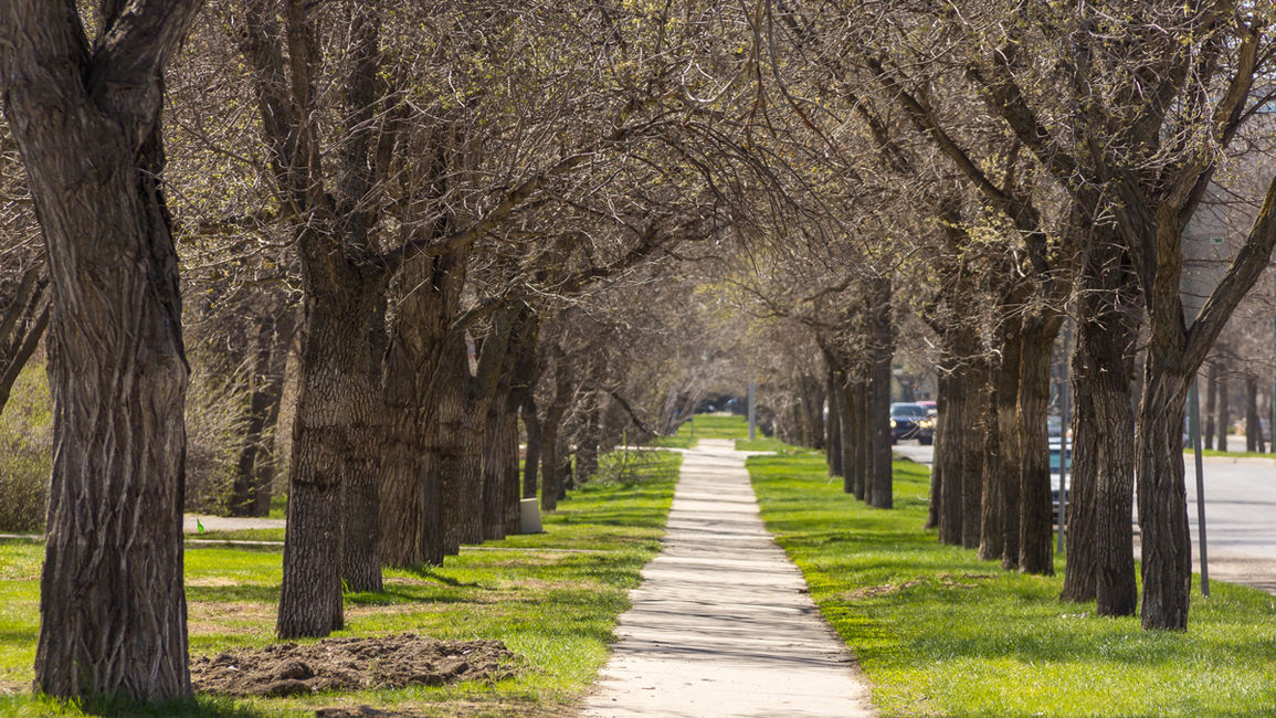 5 Reasons to Book Our Hotel in Regina for the Perfect Spring Retreat