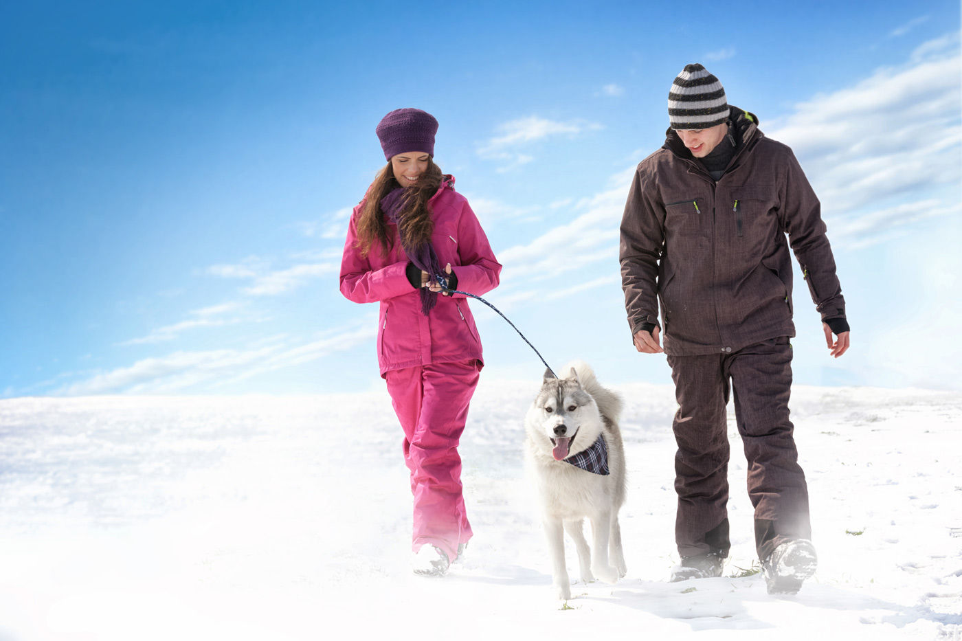 Prepare your dog for walking in winter when visiting Regina, Saskatchewan hotels.&nbsp;